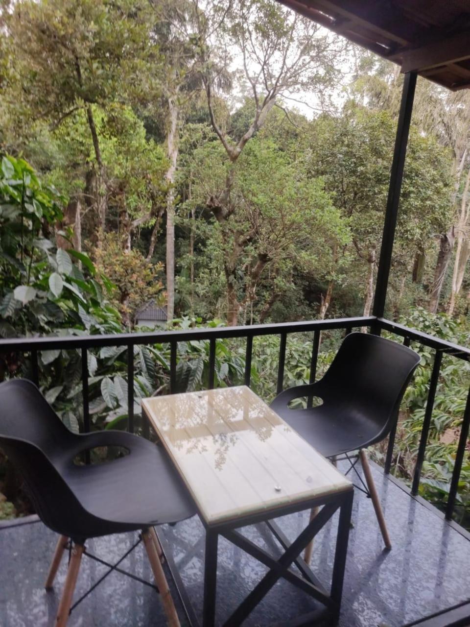 Misty Rain Estate Ξενοδοχείο Madikeri Εξωτερικό φωτογραφία