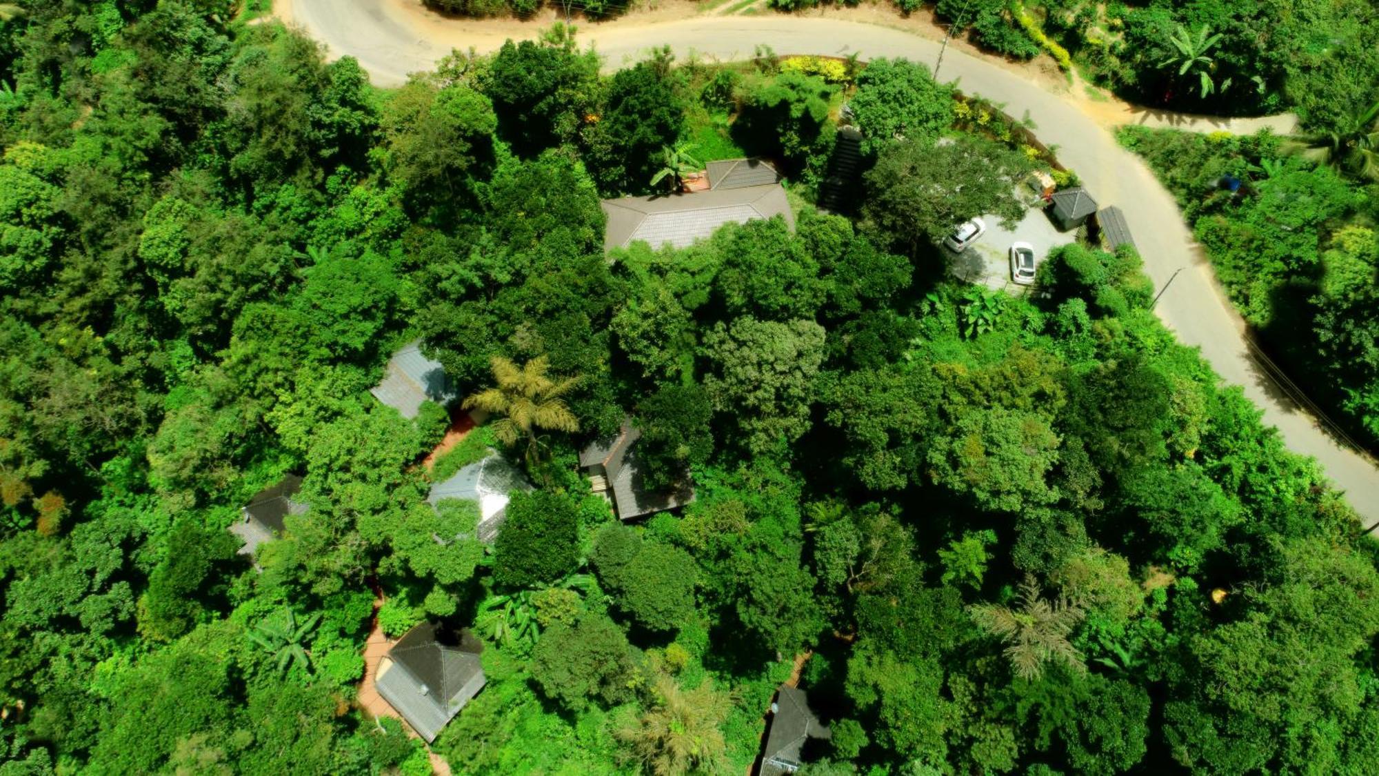 Misty Rain Estate Ξενοδοχείο Madikeri Εξωτερικό φωτογραφία