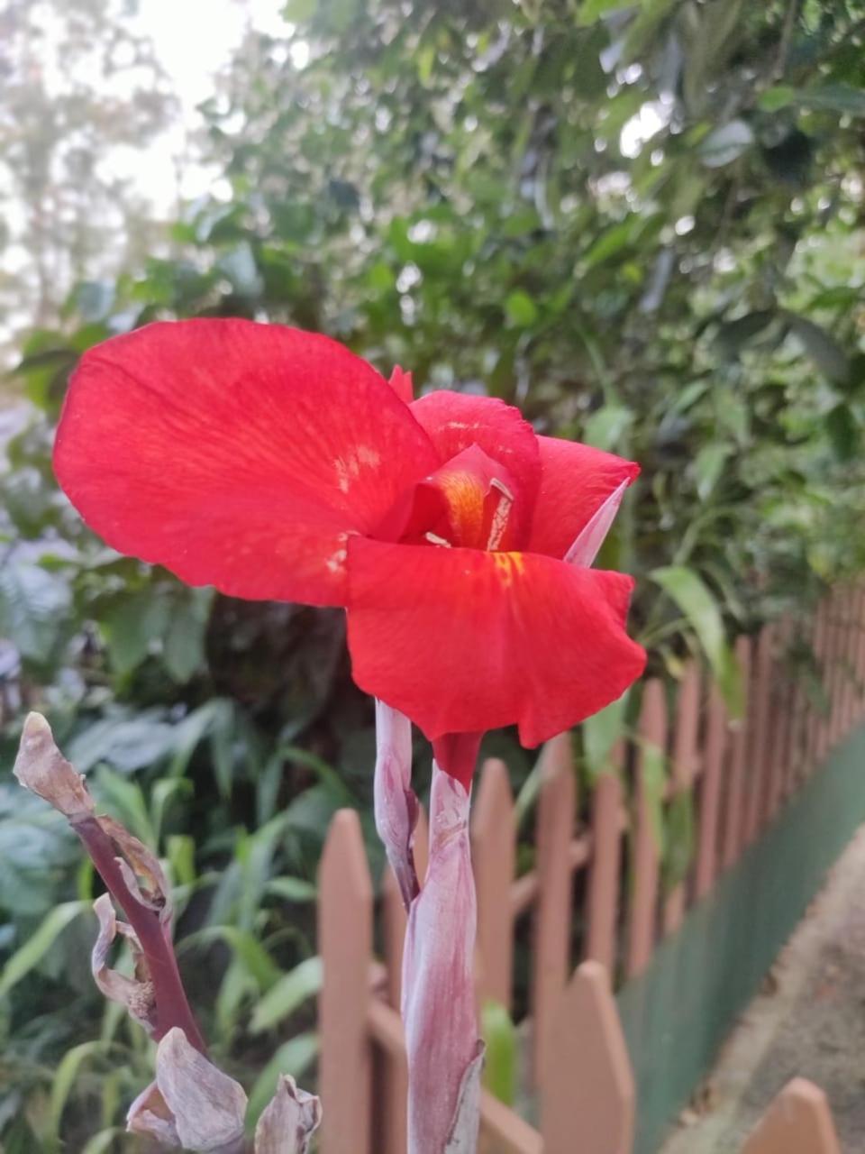Misty Rain Estate Ξενοδοχείο Madikeri Εξωτερικό φωτογραφία