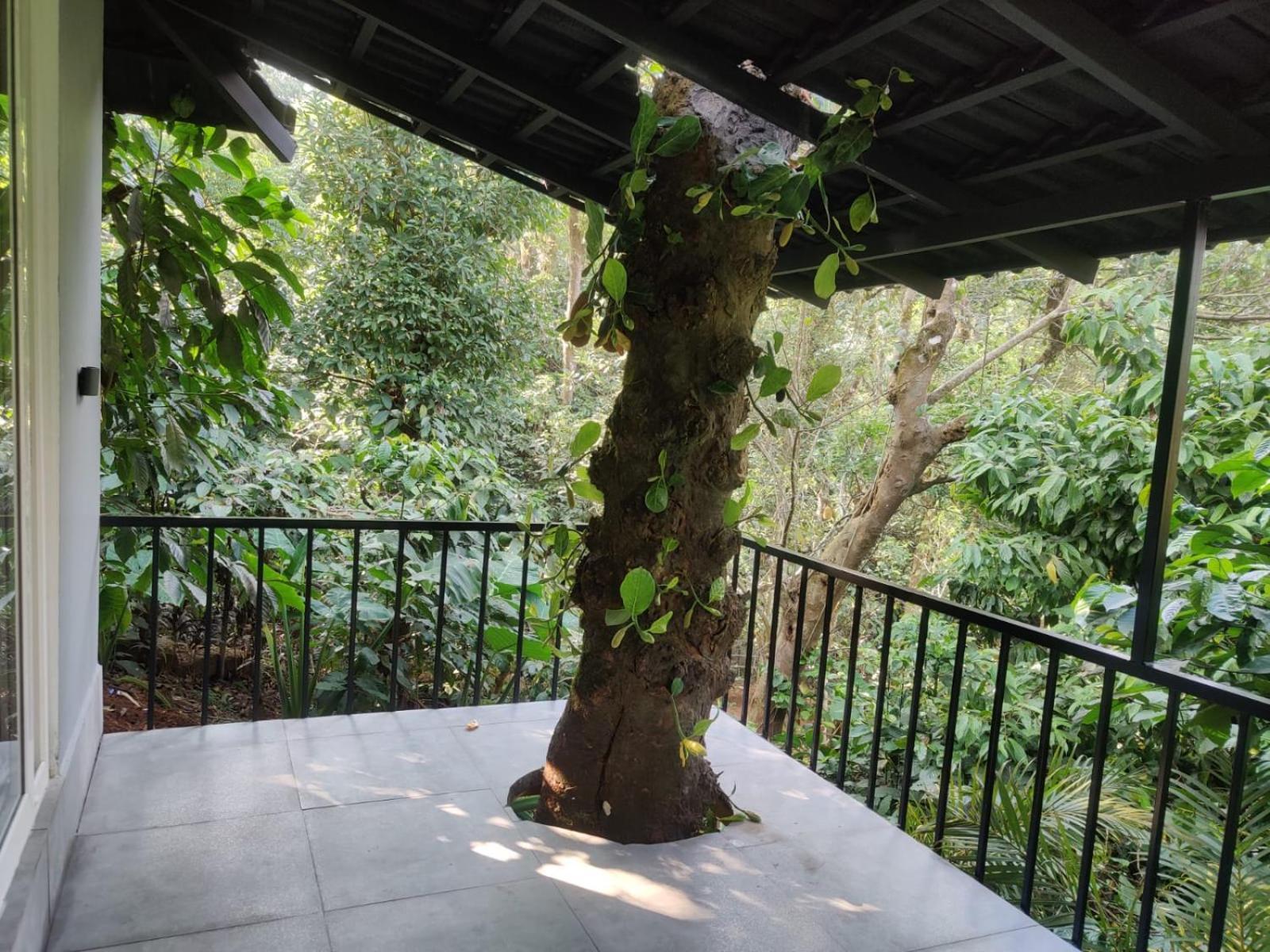 Misty Rain Estate Ξενοδοχείο Madikeri Εξωτερικό φωτογραφία