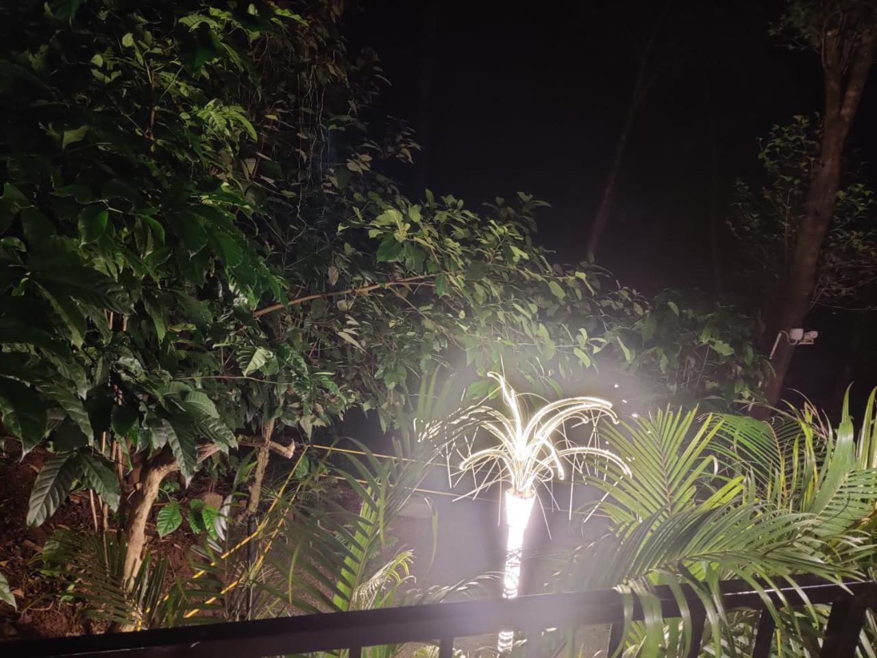 Misty Rain Estate Ξενοδοχείο Madikeri Εξωτερικό φωτογραφία