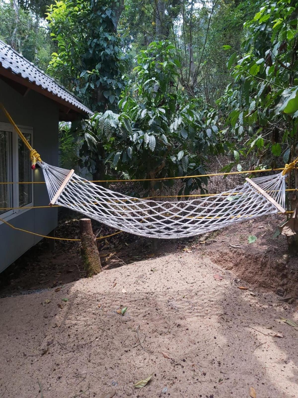 Misty Rain Estate Ξενοδοχείο Madikeri Εξωτερικό φωτογραφία